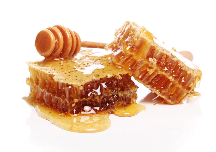 Forest Honey Products